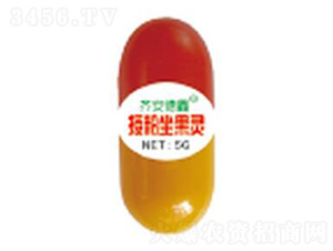 5g�ڷ�������-��������
