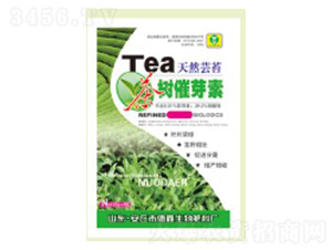 ������ѿ��25g-��������