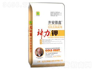 �л��������-������-�밲����-��������