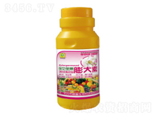 �������������500ml-��������