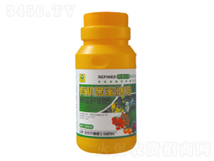 �л�������֬-����п���-��������
