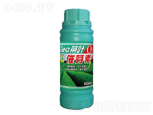 500ml��Ҷ��ѿ��-��������