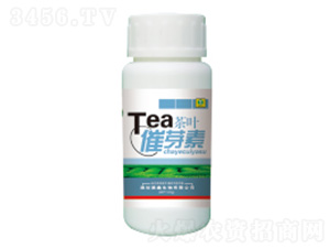 100ml��Ҷ��ѿ��-��������
