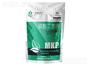 ��������MKP-����ӡ��