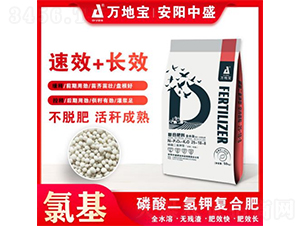 ���׸��Ϸʸ߲�����25-18-8-��ر�-������ʢ