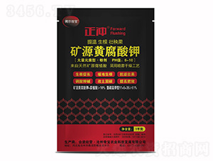 1kg��Դ�Ƹ����-11-5-35-����-�汦
