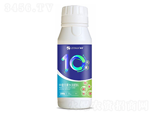 10Ԫ��-����