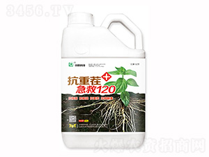 5L���ز缱��120-���¿Ƽ�