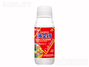 500g�ƽ��-���¿Ƽ�