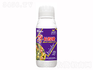500g�泤�ÿ�-���¿Ƽ�