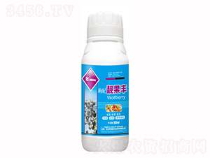 500ml���������-���¿Ƽ�