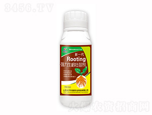500ml��һ��ǿ������׳���-���¿Ƽ�