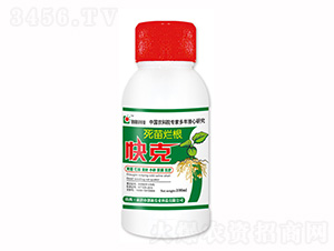 100ml�����ø����-���¿Ƽ�