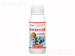 500g�������������-���¿Ƽ�