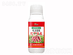 1000ml�������������-���¿Ƽ�