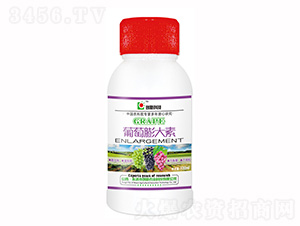 100ml���������-���¿Ƽ�
