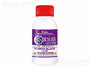 200ml�ĺں�������ר�����ֺ�Ҷ���-���¿Ƽ�