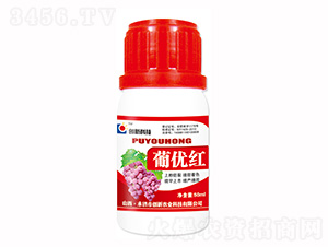 50ml���ź�Ҷ���-���¿Ƽ�