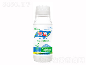 500ml�̼�-���¿Ƽ�