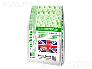Ӣ��UK-Cardiff����Ķ3��ˮ�ܷ���12-6-42+TE-���Ϸ�