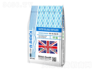 Ӣ��UK-Cardiff����Ķ1��ˮ�ܷ���19-19-19+TE-���Ϸ�