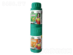 ���ѡ������ѱ���A+B��-��ڱ�