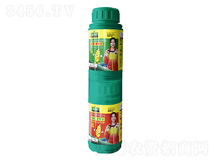 ���ѡ���ƽ�A+B��-��ڱ�