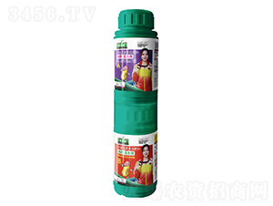���ѡ���������A+B��-��ڱ�