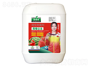 ��ݮ����΢�������-��ڱ�
