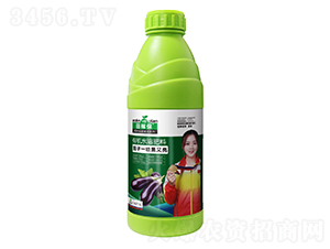 ����һ�������-��ڱ�