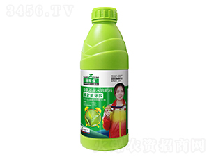 ��Ҷ��ѿ��-��ڱ�