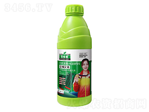 �²˴�׳������-��ڱ�