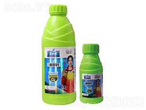 �����Ǵ���-��ڱ�