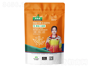 ��Ҷ�����ƻ�һ�徻-��ڱ�