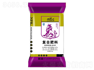 ���������ȫˮ�ܸ��Ϸ���15-5-27-��״Ԫ-������
