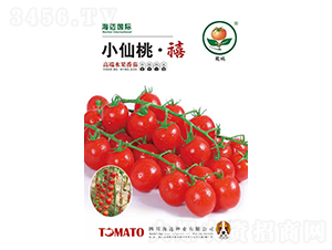 С���ҡ���-ӣ�ҷ�������-��������