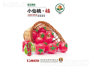 С���ҡ���-ӣ�ҷ�������-��������