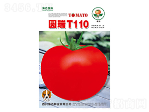 Բ��T110-��������-��������