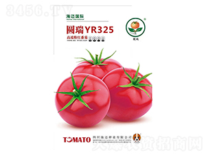 Բ��325-��������-��������