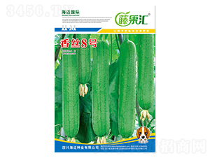 ��˿8��-˿������-�ٹ���-��������
