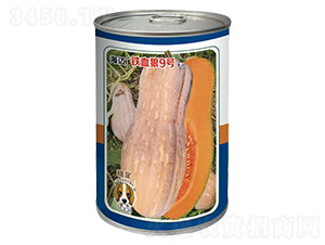 ��Ѫ��9��-�Ϲ�����-�ٹ���-��������
