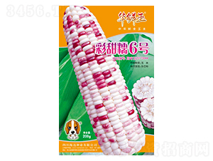����Ŵ6��-��������-������-��������