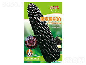 ����Ŵ800-��������-������-��������