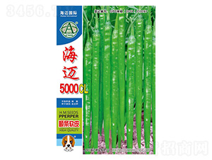 ����5000CL-��������-��������