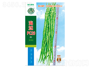 ����PC20-��������-��������