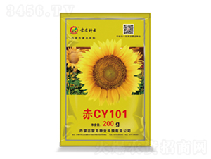 ��CY101-���տ�����-������ҵ