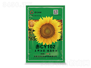 ��CY102-���տ�����-������ҵ