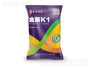 ����K1���ϣ�-��������-������ҵ