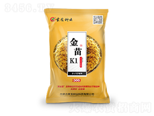����K1���ƣ�-��������-������ҵ