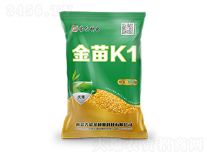 ����K1-��������-������ҵ